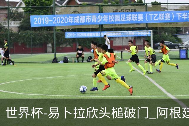 世界杯-易卜拉欣头槌破门 阿根廷失点半场0-1落后埃及
