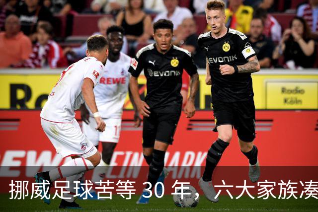 挪威足球苦等 30 年，六大家族凑世界杯主力，老国脚有啥绝招？